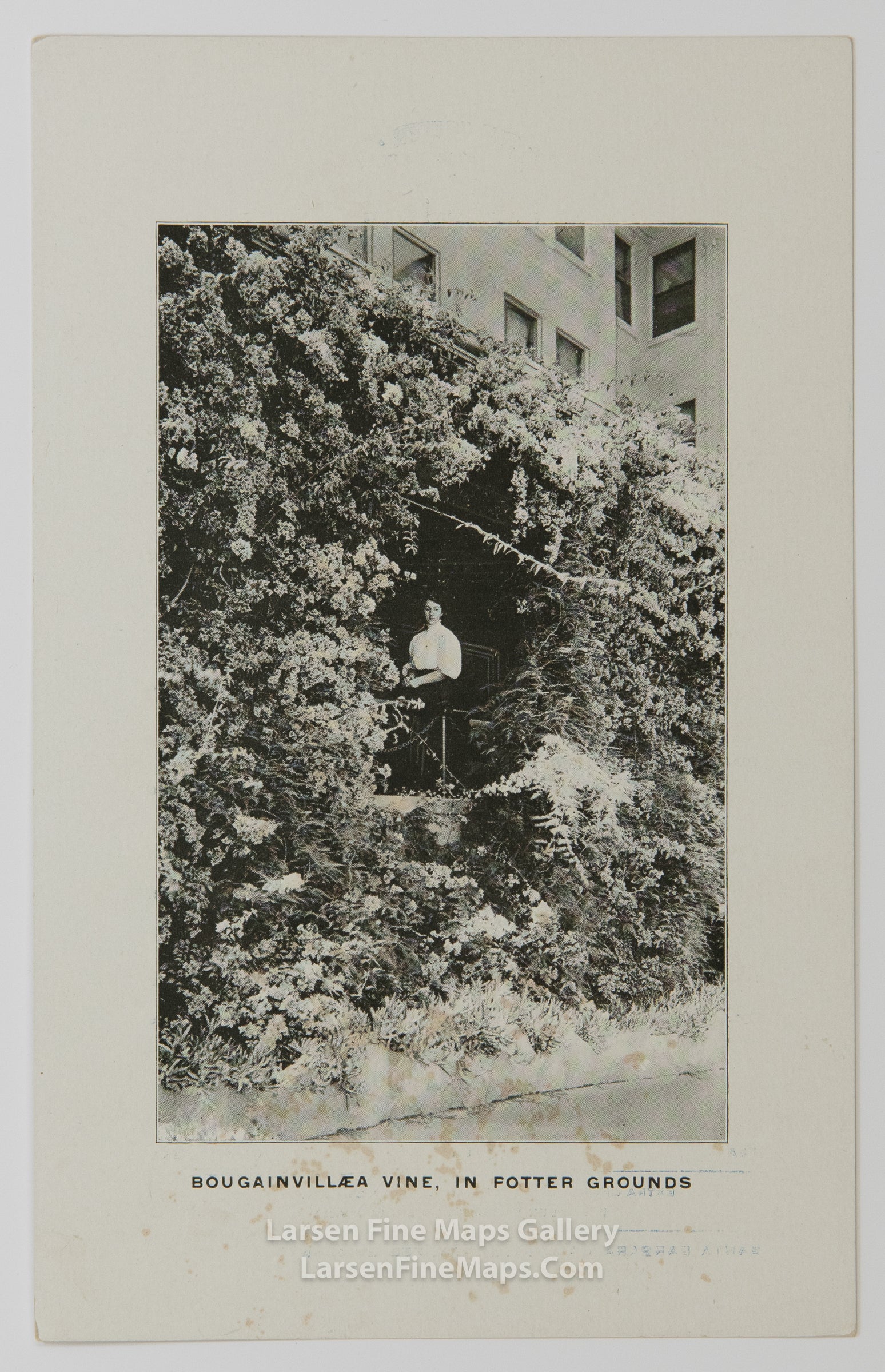 The Potter, Santa Barbara California, Hotel, Milo M. Potter, Manager, example-14