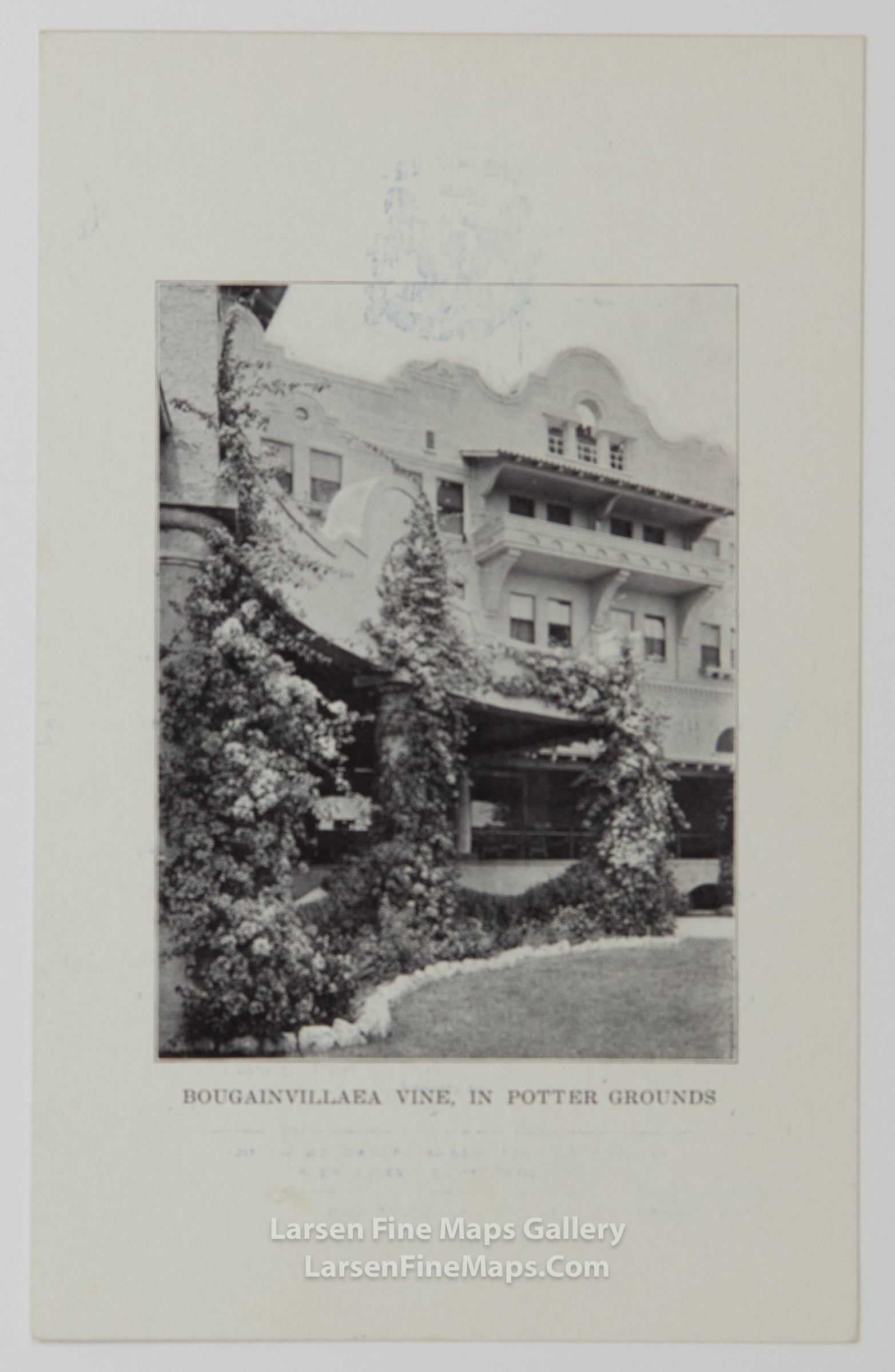 The Potter, Santa Barbara California, Hotel, Milo M. Potter, Manager, example-19