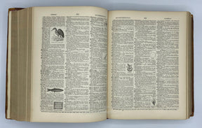 Antique American Dictionary, Noah Webster, LL.D. G. & C. Merriam, State Street, Springfield, Mass., 1878, Example-3