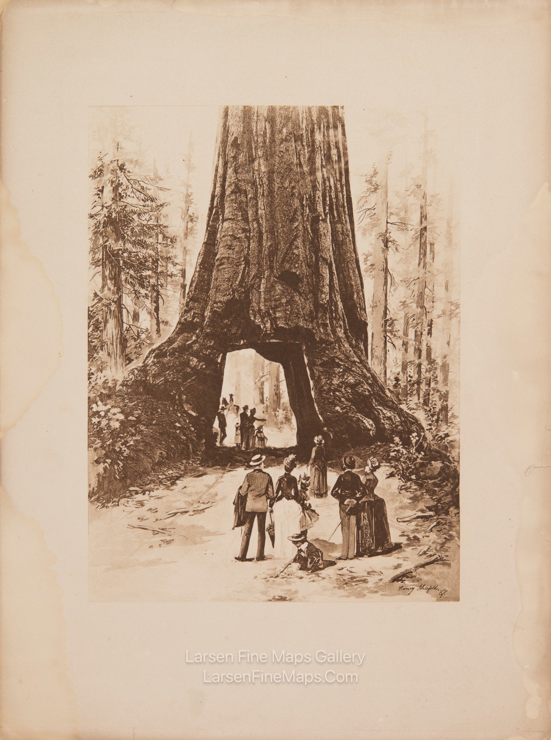 Wawona Tree Photogravure, Henry Ihlefeld, JohnMuir, J. Dewing California Antique Print
