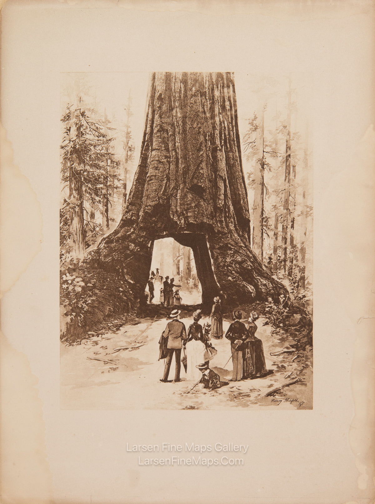 Wawona Tree Photogravure