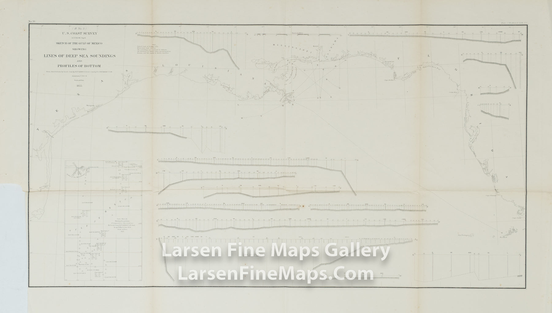 Sketch of the Gulf of Mexico Showing Lines of Deep Sea Soundings and Profiles of Bottom U.S. Coast Survey