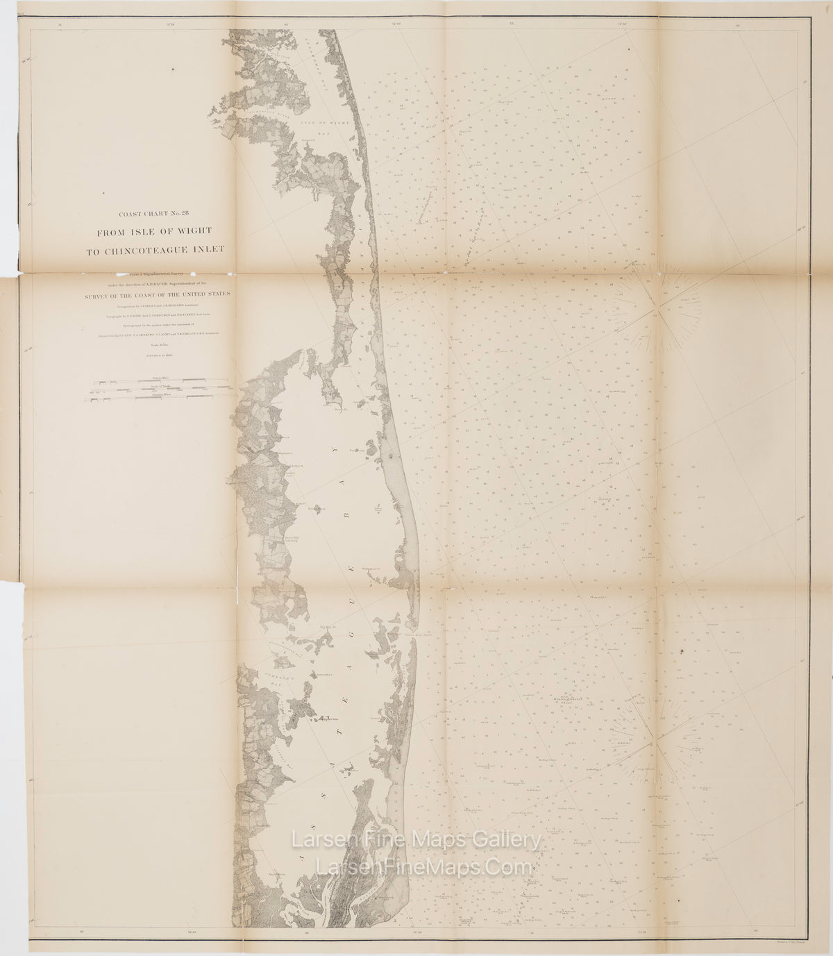 Coast Chart No. 28, From Isle of Wight to Chincoteague Inlet U.S. Coast Survey