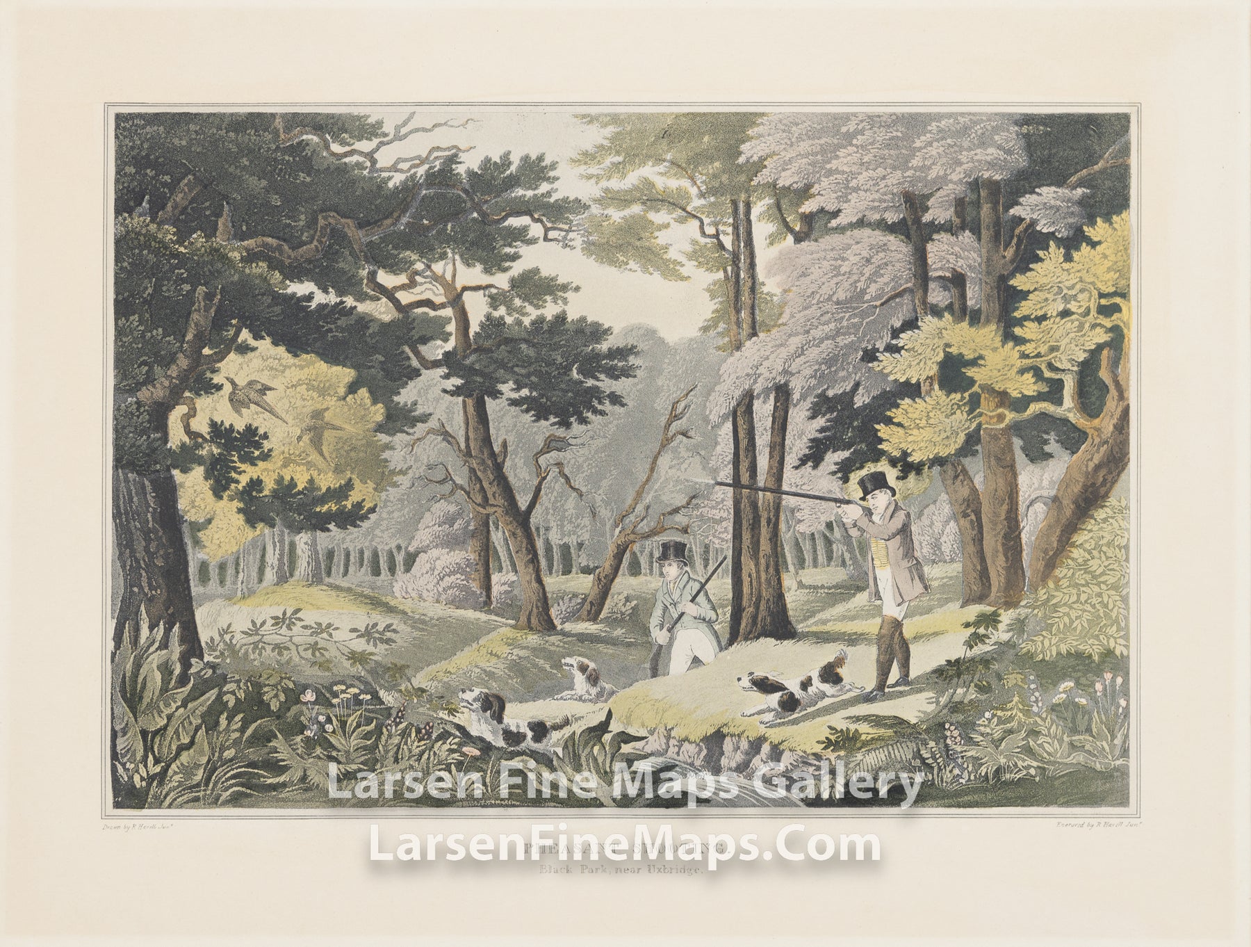 Pheasant Shooting. Black Park, near Uxbridge, Engraved by R. Havell Jr., Drawn by R. Havell Jr.