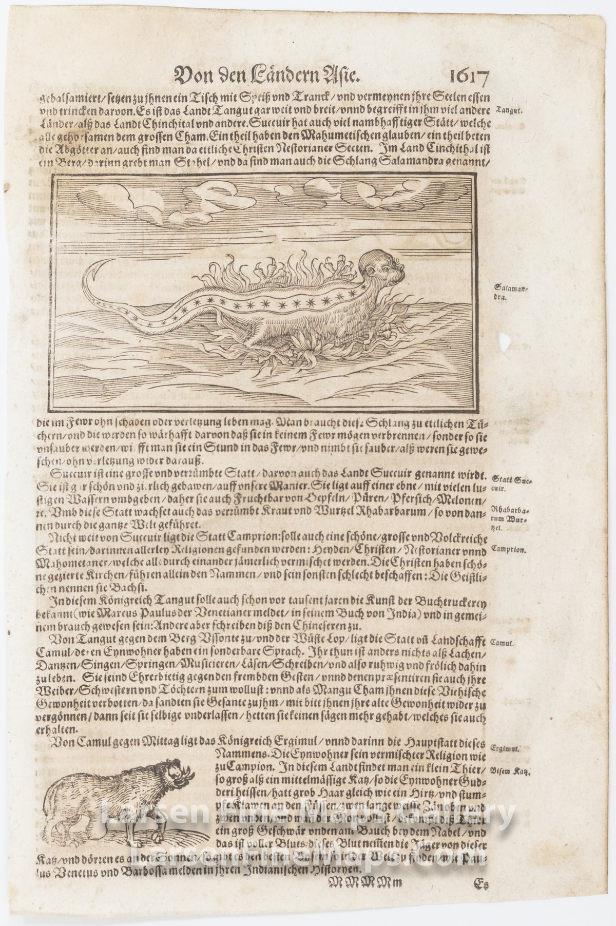 Full page from Sebastian Munster's Cosmographia,  Mythical Creatures, Monsters.